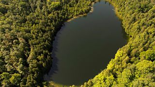 Scientists say the start of a new geological epoch defined by how humans have impacted the Earth should be marked at the pristine Crawford Lake outside Toronto in Canada. 
