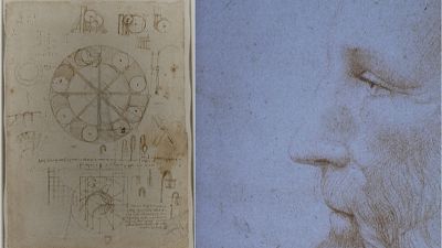 The Life of Leonardo da Vinci Examined through 12 Seminal Drawings   Widewalls