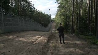 L'année dernière, la Lituanie a achevé la mise en place d'une clôture en fils barbelés haute de quatre mètres le long de la frontière avec le Bélarus.