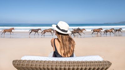 A woman sits on the beach as horses gallop past.