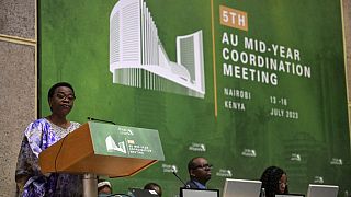 African Union: High-level meeting opens in Nairobi