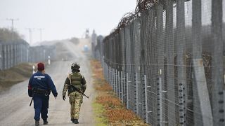 A magyar határkerítés Hercegszántó köelében
