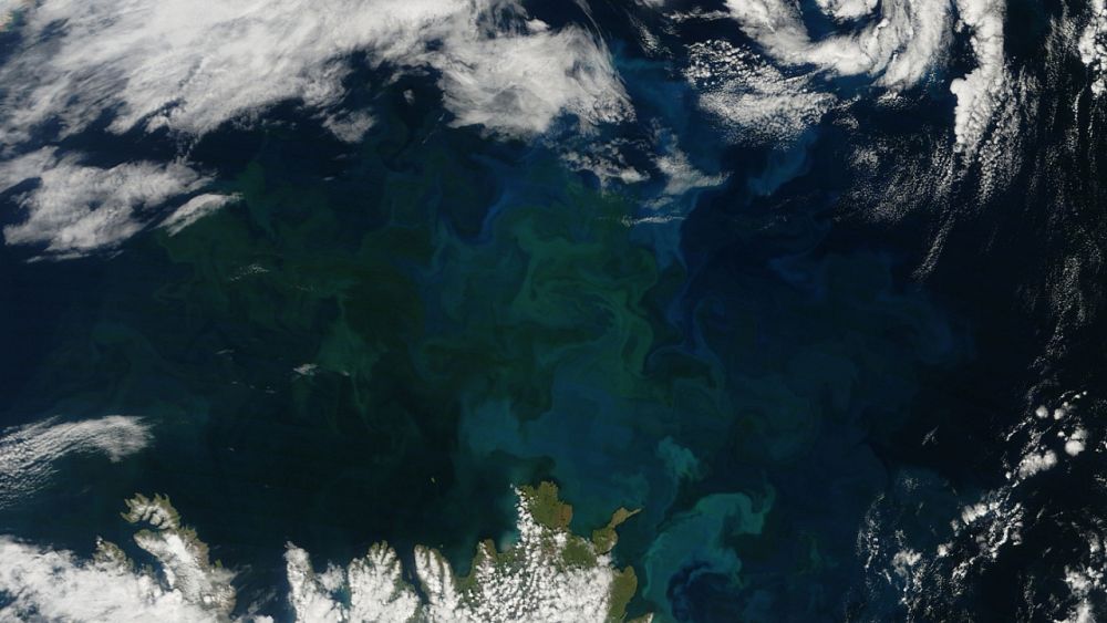 Turning green: Earth’s oceans are changing due to climate change