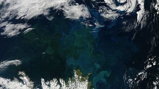 Plankton bloom over Iceland 