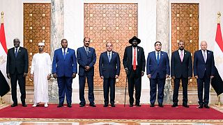 Egypt president announces steps to end conflict in Sudan