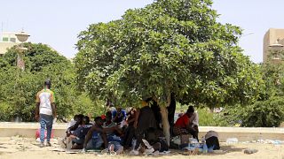مهاجرون يستظلون تحت شجرة خلال تجمع في صفاقس، الساحل الشرقي لتونس. 2023/07/07