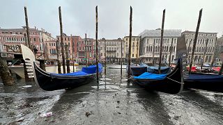 Gôndolas estacionadas durante a maré baixa em Veneza