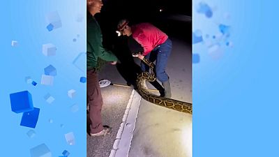 Two men from Florida have made headlines after an online video went viral showing them capture the longest-ever recorded Burmese python in the US state.