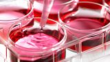 Mission launched to position France as global frontrunner in biomedical research and innovation