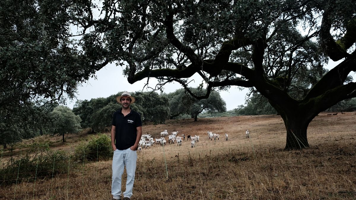 Francisco Alves on his farm in Alentejo, Portugal