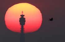 The sun rises behind the BT Tower with a bird flying in the foreground, as hot weather continues, in London.