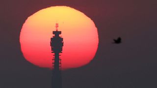 На фоне жаркой погоды в Лондоне солнце поднимается за башней BT Tower, на переднем плане - летящая птица.