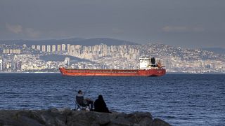 Un carguero anclado en el mar de Mármara espera el acceso para cruzar el estrecho del Bósforo en Estambul, Turquía, el 13 de julio de 2022