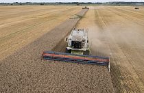 Rusya ve Ukrayna dünyanın en önemli tahıl ihracatçısı konumunda