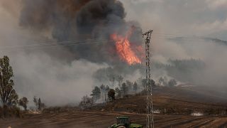 Erdőtűz az észak-spanyolországi Navarra tartományban Olloki és Alzuza között 2023. július 14-én