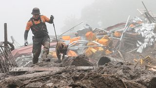 Ein Rettungshelfer mit einem Hund sucht nach Überlebenden nach einem Erdrutsch in Südkorea
