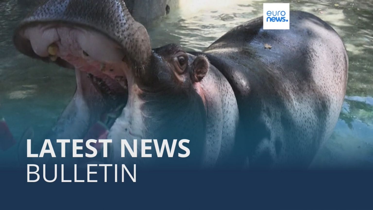 Latest news bulletin | July 16th – Midday