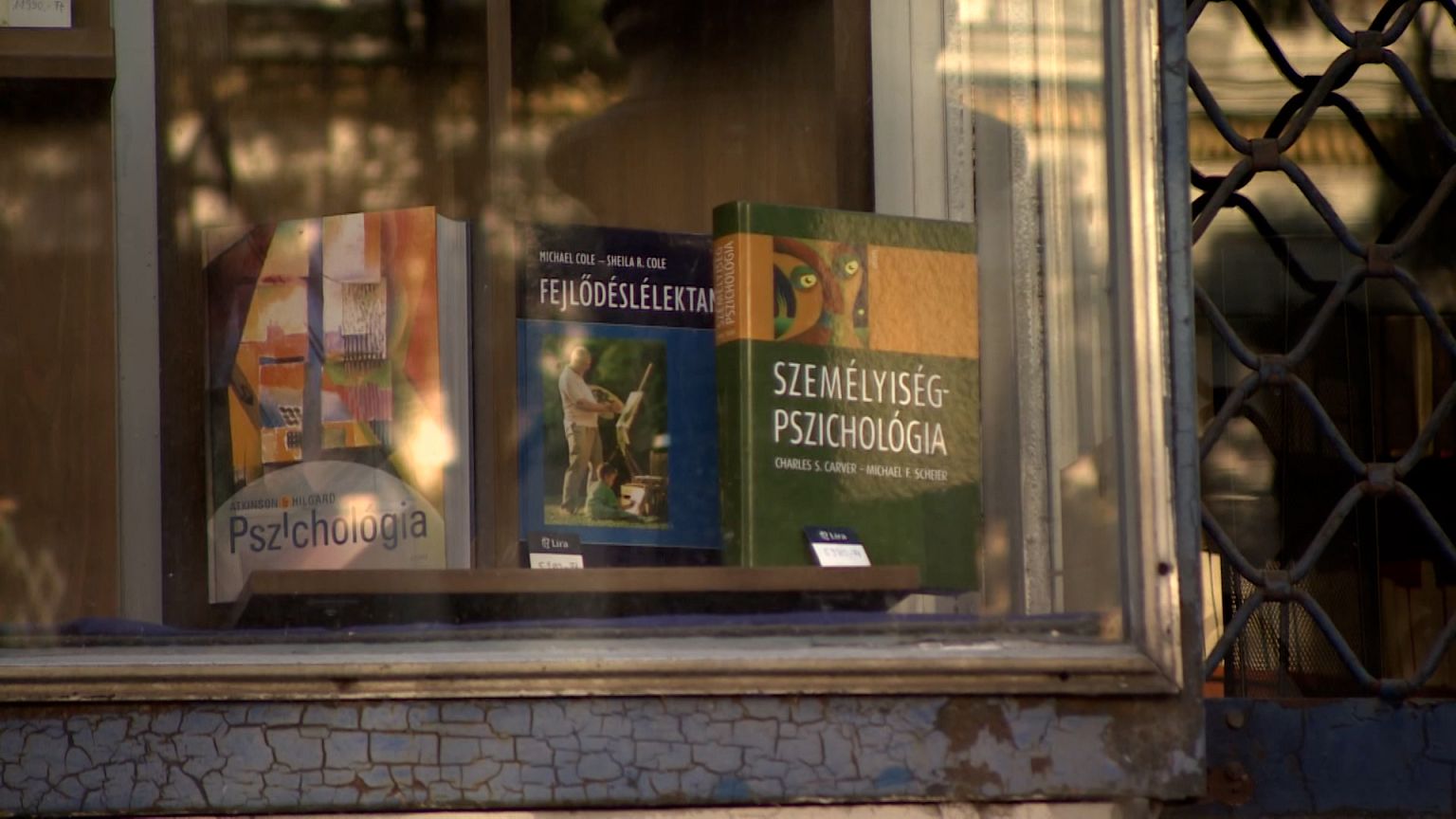 Ce n'est pas la première fois qu'un bureau du gouvernement hongrois inflige une amende à une librairie pour violation de la loi. 