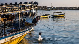 قوارب صيد في غزة