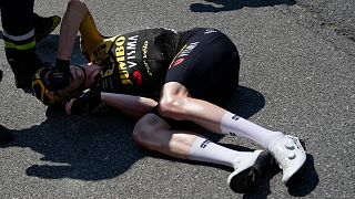 Belgium's Nathan van Hooydonck crashed during the 15th stage of the Tour de France cycling race
