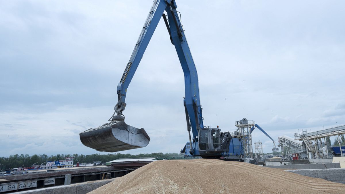 Ukrayna'nın İzmail kentindeki bir tahıl limanında kargo gemisine tahıl yükleniyor