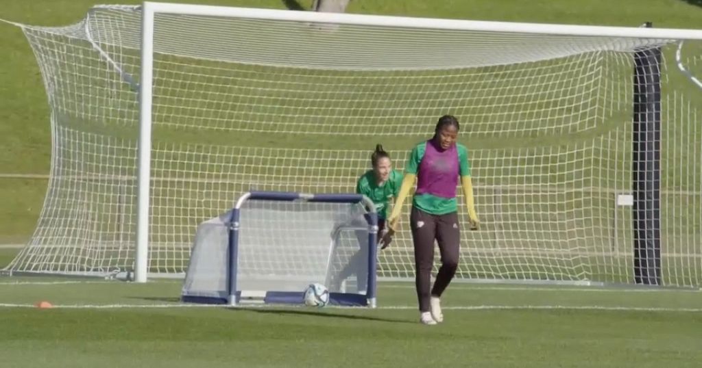 South Africa prepares match against Sweden in New Zealand