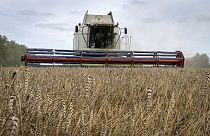Россия объявила о выходе из сделки об экспорте украинского зерна 