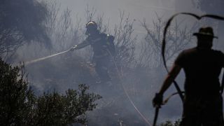 حرائق الغابات تستعر قرب أثينا وتصل مناطق سكنية