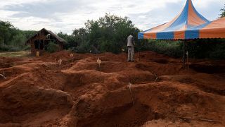 Secte au Kenya : 12 nouveaux corps découverts à Shakahola