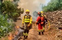 رجال الإطفاء يعملون على إطفاء حريق غابة في منطقة بونتاغوردا بجزيرة لا بالما بإسبانيا، يوم الاثنين 17 يوليو 2023.