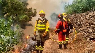 رجال الإطفاء يعملون على إطفاء حريق غابة في منطقة بونتاغوردا بجزيرة لا بالما بإسبانيا، يوم الاثنين 17 يوليو 2023.