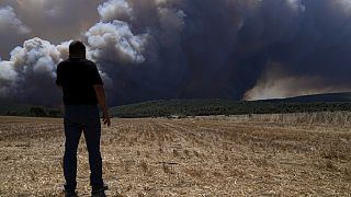Πυρκαγιές στην Ελλάδα