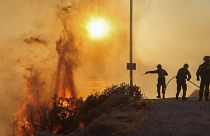 Firefighters try to extinguish a wildfire burning in Saronida, near Athens, Greece, July 17, 2023.