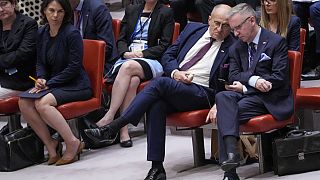 Deutschlands Außenministerin Annalena Baerbock im UN-Sicherheitsrat
