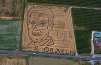 George Orwell'in portresi 27 bin metrekarelik araziye işlendi