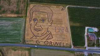A land artist in northern Italy turned a field of wheat stubble into a portrait of author George Orwell to mark the 120th anniversary of his birth.