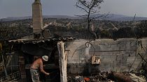 Житель деревушки близ Афин у своего полуразрушенного пожаром дома