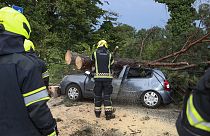 İtfaiyeciler, Hırvatistan'ın başkenti Zagreb'de şiddetli fırtınanın ardından park halindeki araca düşen ağaç dallarını kaldırıyor