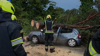 En Croatie les pompiers interviennent pour une chute d'arbre à Zagreb en Croatie - 19.07.2023