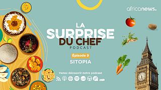 Créer Sitopia : une ville organisée autour de la nourriture
