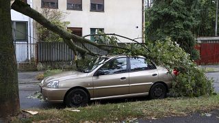 Ein wegen des Sturms umgestürzter Baum liegt auf einem PKW in der kroatischen Hauptstadt Zagreb