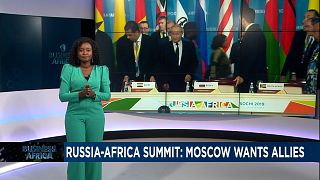 Exploring Africa's interests at the summit in Russia {Business Africa}