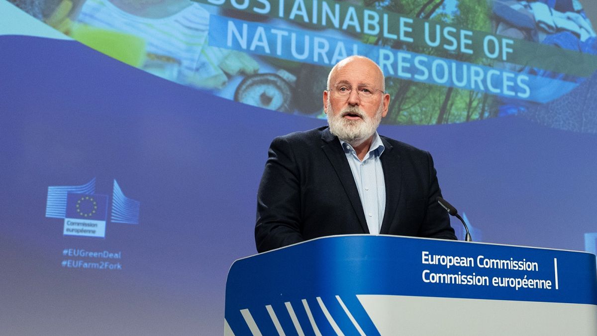 Frans Timmermans is one of the three European Commission's executive vice-presidents and oversees the European Green Deal.