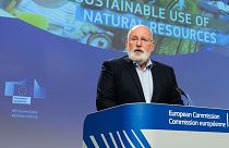 Frans Timmermans is one of the three European Commission's executive vice-presidents and oversees the European Green Deal.