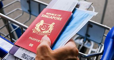 World's Most Powerful Passports in 2023. Japanese and Singaporean Passports  are the most Powerful passports in the world right now with…