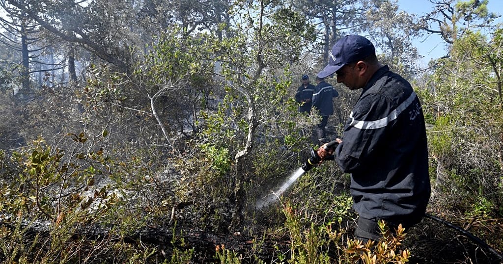 Firefighters battle fire on Algeria-Tunisia border - Vimarsana News