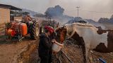 A woman gives water to her horse as her husband tries to extinguish a fire near Loutraki, 80 km west of Athens, 17 July 2023.
