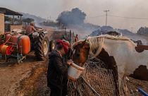 Une femme donne de l'eau à son cheval alors que son mari tente d'éteindre un incendie près de Loutraki, à 80 km à l'ouest d'Athènes, le 17 juillet 2023.