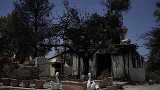 Eloltott bozóttüzek lángoltak fel Görögországban