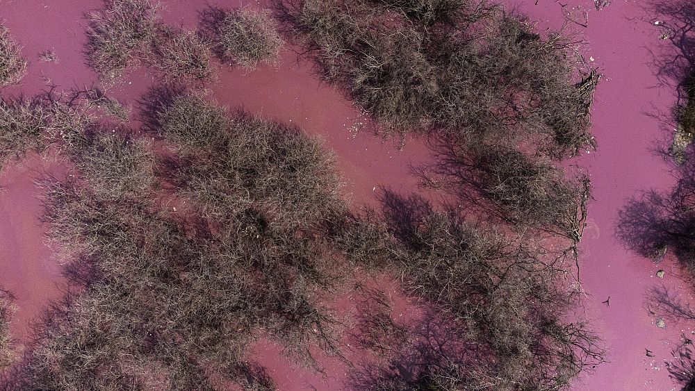 Un lac din România devine roz din cauza temperaturilor ridicate